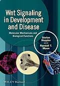 E-Book (epub) Wnt Signaling in Development and Disease von Stefan P. Hoppler, Randall T. Moon