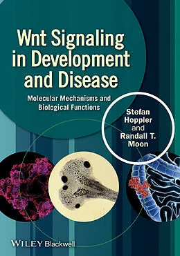 E-Book (epub) Wnt Signaling in Development and Disease von Stefan P. Hoppler, Randall T. Moon