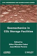 E-Book (pdf) Geomechanical Issues in CO2 Storage Facilities von Gilles Pijaudier-Cabot, Jean-Michel Pereira