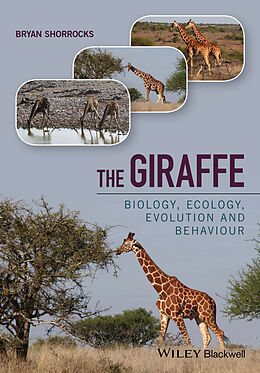 E-Book (pdf) The Giraffe von Bryan Shorrocks