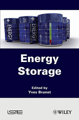 eBook (pdf) Energy Storage de 