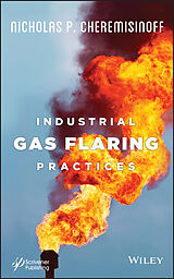 eBook (epub) Industrial Gas Flaring Practices de Nicholas P. Cheremisinoff