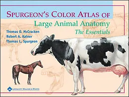 E-Book (pdf) Spurgeon's Color Atlas of Large Animal Anatomy von Thomas O. McCracken, Robert A. Kainer, Thomas L. Spurgeon