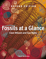 eBook (epub) Fossils at a Glance de Clare Milsom, Sue Rigby