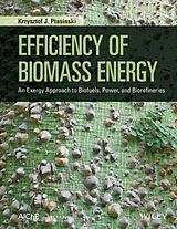 Livre Relié Efficiency of Biomass Energy de Krzysztof J. Ptasinski