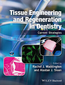 E-Book (pdf) Tissue Engineering and Regeneration in Dentistry von 