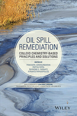 eBook (epub) Oil Spill Remediation de Ponisseril Somasundaran, Partha Patra, Raymond S. Farinato