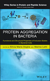 E-Book (pdf) Protein Aggregation in Bacteria von 