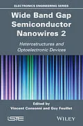 E-Book (epub) Wide Band Gap Semiconductor Nanowires 2 von 