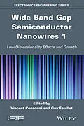 E-Book (epub) Wide Band Gap Semiconductor Nanowires 1 von Vincent Consonni, Guy Feuillet
