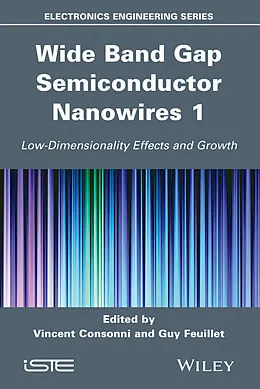 E-Book (epub) Wide Band Gap Semiconductor Nanowires 1 von Vincent Consonni, Guy Feuillet