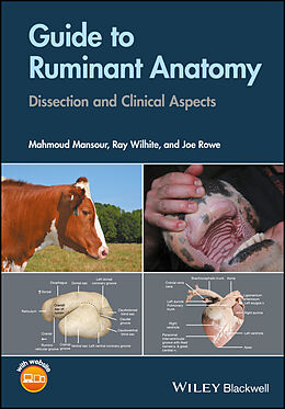 eBook (pdf) Guide to Ruminant Anatomy de Mahmoud Mansour, Ray Wilhite, Joe Rowe