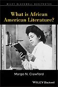 E-Book (pdf) What is African American Literature? von Margo N. Crawford