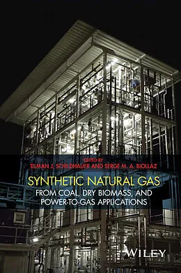 E-Book (pdf) Synthetic Natural Gas von Tilman J. Schildhauer, Serge Biollaz