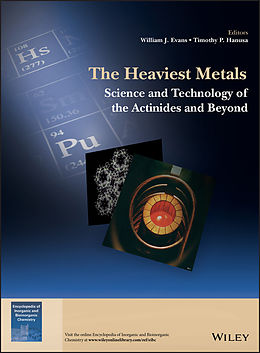 eBook (pdf) The Heaviest Metals de 