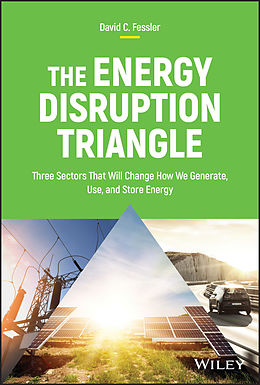 E-Book (pdf) The Energy Disruption Triangle von David C. Fessler