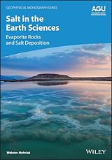 Livre Relié Salt in the Earth Sciences de Webster Mohriak