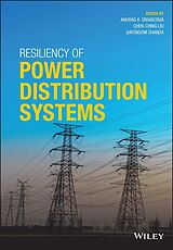 eBook (pdf) Resiliency of Power Distribution Systems de 