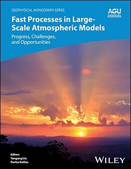 Livre Relié Fast Processes in Large-Scale Atmospheric Models de Yangang (Brookhaven National Laboratory, Usa) Liu