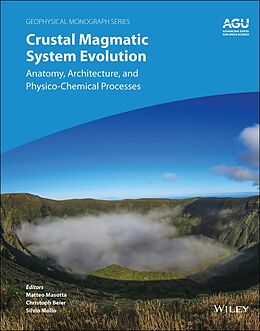 E-Book (epub) Crustal Magmatic System Evolution von 