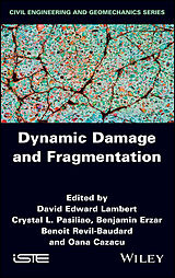 eBook (pdf) Dynamic Damage and Fragmentation de 