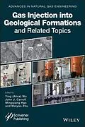E-Book (epub) Advances in Natural Gas Engineering von John J. Carroll, Alice Wu, Mingqiang Hao