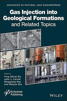 E-Book (epub) Advances in Natural Gas Engineering von John J. Carroll, Alice Wu, Mingqiang Hao