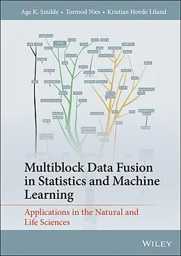 E-Book (epub) Multiblock Data Fusion in Statistics and Machine Learning von Age K. Smilde, Tormod Næs, Kristian Hovde Liland