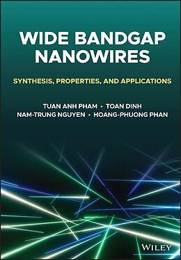 eBook (pdf) Wide Bandgap Nanowires de Tuan Anh Pham, Toan Dinh, Nam-Trung Nguyen