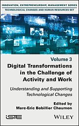 eBook (epub) Digital Transformations in the Challenge of Activity and Work de 