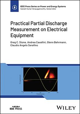 Fester Einband Practical Partial Discharge Measurement on Electrical Equipment von Greg C Stone, Andrea Cavallini, Glenn Behrmann
