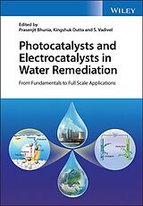 eBook (pdf) Photocatalysts and Electrocatalysts in Water Remediation de 