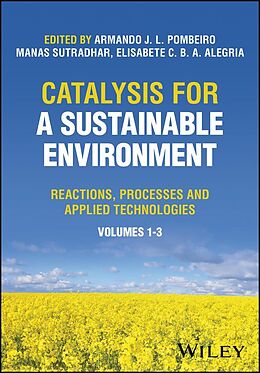 eBook (pdf) Catalysis for a Sustainable Environment de 