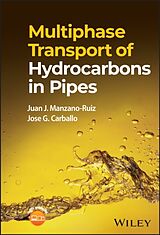Fester Einband Multiphase Transport of Hydrocarbons in Pipes von Juan J Manzano-Ruiz, Jose G Carballo