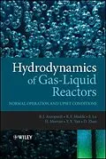 E-Book (pdf) Hydrodynamics of Gas-Liquid Reactors von Barry Azzopardi, Donglin Zhao, Y. Yan