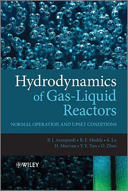 E-Book (epub) Hydrodynamics of Gas-Liquid Reactors von Barry Azzopardi, Donglin Zhao, Y. Yan