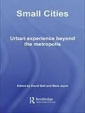 E-Book (epub) Small Cities von David Bell, Mark Jayne