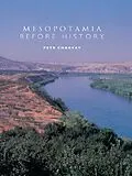 ePUB Mesopotamia Before History von Petr Charvát