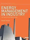 E-Book (pdf) Energy Management in Industry von David Thorpe