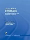 E-Book (epub) Labour Market Efficiency in the European Union von Thomas Kruppe, Ralf Rogowski, Klaus Schömann
