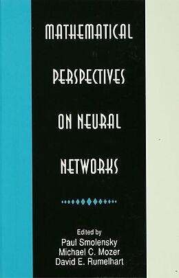 E-Book (pdf) Mathematical Perspectives on Neural Networks von 