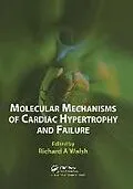 E-Book (epub) Molecular Mechanisms of Cardiac Hypertrophy and Failure von Richard A. Walsh