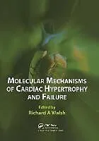 E-Book (epub) Molecular Mechanisms of Cardiac Hypertrophy and Failure von Richard A. Walsh