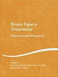 E-Book (pdf) Brain Injury Treatment von Jose Leon-Carrion, Klaus R. H. von Wild, George A. Zitnay