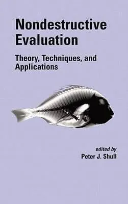 E-Book (epub) Nondestructive Evaluation von Peter J. Shull