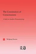 E-Book (epub) The Constitution of Consciousness von Wolfgang Huemer
