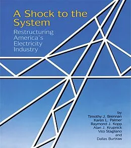 E-Book (pdf) A Shock to the System von Timothy J. Brennan