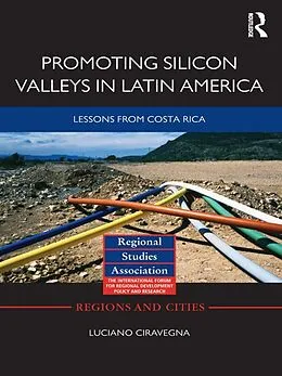 E-Book (pdf) Promoting Silicon Valleys in Latin America von Luciano Ciravegna