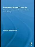 E-Book (epub) European Works Councils and Industrial Relations von Jeremy Waddington
