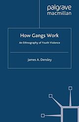 eBook (pdf) How Gangs Work de J. Densley